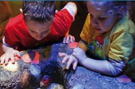 אגם גארדה - Gardaland Sea-Life Aquarium